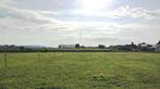 Weide te huur, Dieren en Toebehoren, Weidegang, 4 paarden of pony's of meer