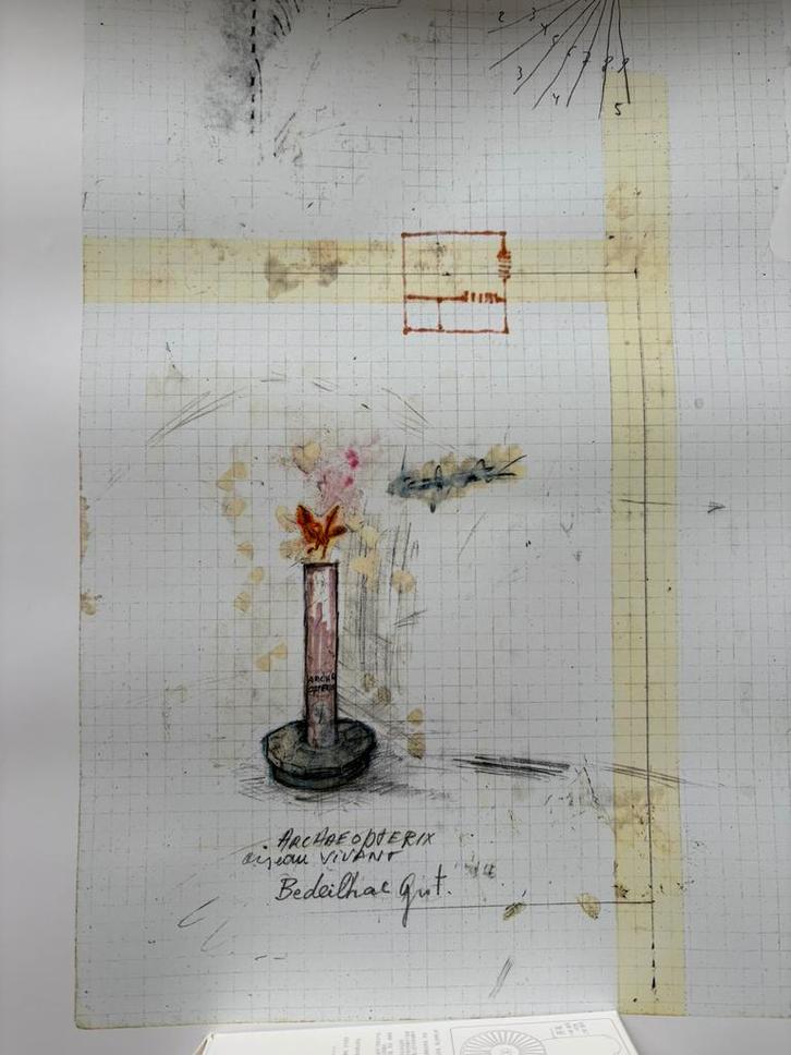 Offset Panamarenko “kip”, Antiek en Kunst, Kunst | Litho's en Zeefdrukken, Ophalen