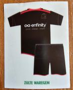 Panini Football 2010 Uit shirt Waregem nr 464 zeer zeldzaam, Ophalen of Verzenden, Zo goed als nieuw, Sticker