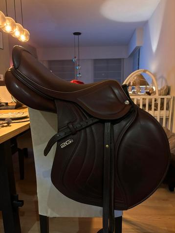 Paardenspullen te koop beschikbaar voor biedingen