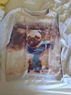 Trui maat small, Kleding | Dames, Ophalen of Verzenden