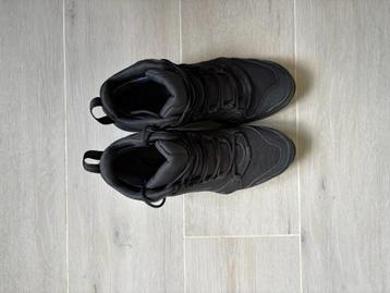 Adidas Terrex Wandelschoenen (maat 44 2/3) beschikbaar voor biedingen