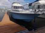 Motoryacht, Watersport en Boten, Ophalen, Gebruikt, Diesel, 9 tot 12 meter