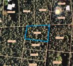 Bos te koop Dilsen Stokkem, Immo, Provincie Limburg, 1500 m² of meer