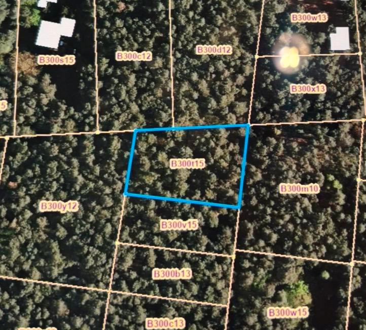 Bos te koop Dilsen Stokkem, Immo, Huizen en Appartementen te koop, Provincie Limburg, 1500 m² of meer