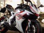 Zontes 703 RR racer 3 cilinder sport moto Brembo brakes, Entreprise, Plus de 35 kW, Sport, 3 cylindres