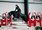 Veelbelovende 5-jarige merrie – PEGASE VAN ‘T RUYTERSHOF, Dieren en Toebehoren, Merrie, Springpaard, Gechipt, 3 tot 6 jaar