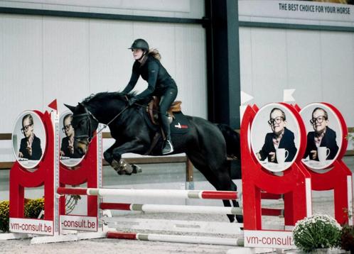 Veelbelovende 5-jarige merrie – PEGASE VAN ‘T RUYTERSHOF, Dieren en Toebehoren, Paarden, Merrie, L, 160 tot 165 cm, 3 tot 6 jaar