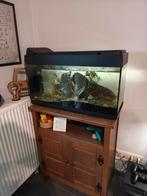 Aquarium, Enlèvement, Comme neuf, Aquarium d'eau douce rempli