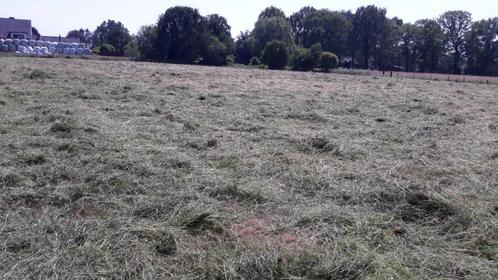 hooi te koop - kleine pakken, Dieren en Toebehoren, Stalling en Weidegang