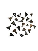 Carcharodon carcharias à dents de requin blanc., Enlèvement ou Envoi