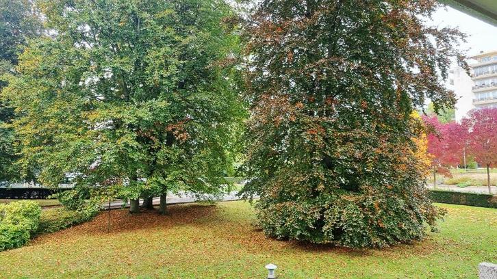 BEAU STUDIO AU MILIEU D'UN PARC A JETTE, Immo, Huizen en Appartementen te koop, Brussel, Studio