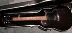 Gibson Les Paul Special P90 2013, Gibson, Enlèvement