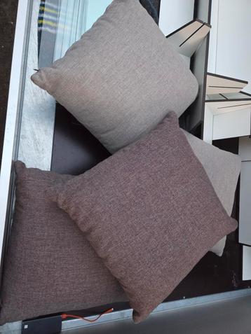 12 kussen 50cm x 50cm beschikbaar voor biedingen