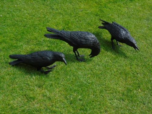 bronzen raaf wandbeeld (3), op ware grootte!, Tuin en Terras, Tuinwanddecoratie, Zo goed als nieuw, Ophalen
