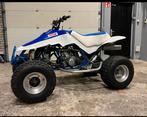 Suzuki LT500R Quadzilla Quad Quadracer met Kenteken L7E, Motoren, Meer dan 35 kW, 1 cilinder, 500 cc