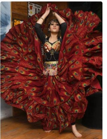 Jupe danse Gypsy bordeau à motif plumes de paon beschikbaar voor biedingen