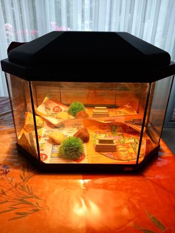 Origineel aquarium van 40 cm x 20 cm x 24 cm zonder deksel

 beschikbaar voor biedingen