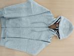 Burberry zipper, Kleding | Heren, Truien en Vesten, Verzenden, Zo goed als nieuw, Grijs, Burberry