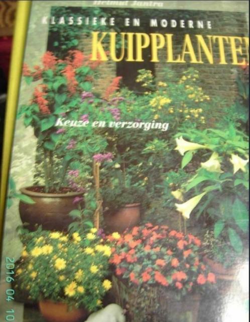 Klassieke en moderne kuipplanten, Boeken, Wonen en Tuinieren, Zo goed als nieuw, Ophalen of Verzenden