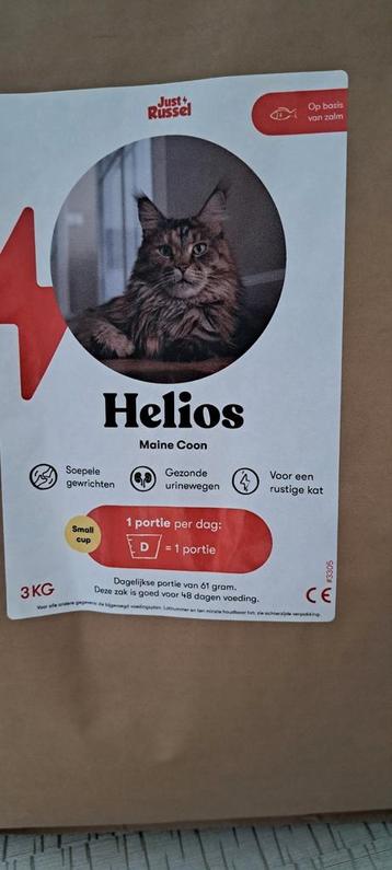 Croquettes pour chat, Enlèvement, Chat