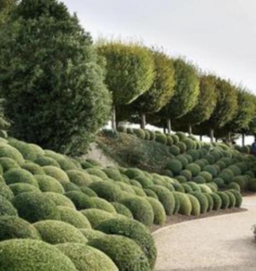 ONDERAANNEMING TUINAANLEG EN ONDERHOUD, Vacatures, Vacatures | Landbouw, Natuur en Milieu