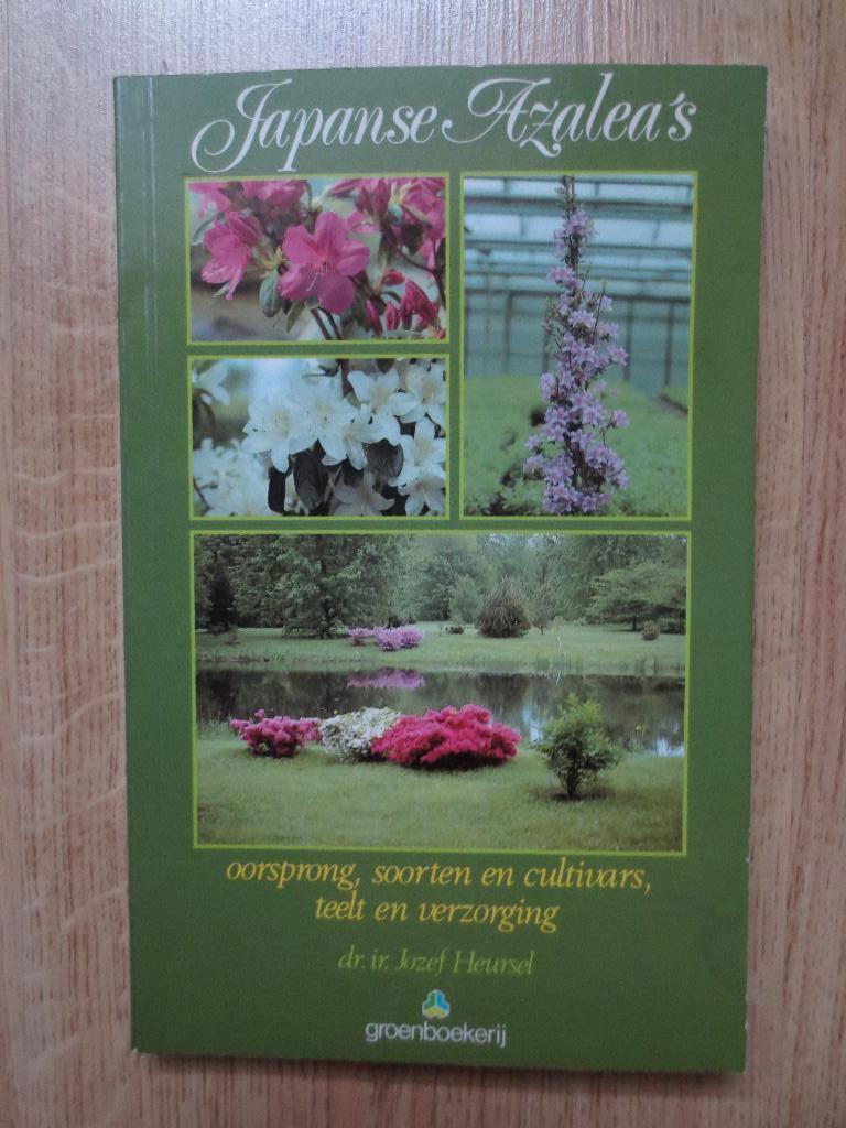 Japanse Azalea's, Livres, Maison & Jardinage, Utilisé, Enlèvement ou Envoi