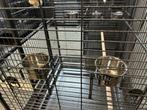 Papegaaienkooi Hyacint XXL, Dieren en Toebehoren, Ophalen of Verzenden, Nieuw, Vogelkooi