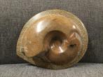 Ammoniet Ptychopylloceras, Verzamelen, Mineralen en Fossielen, Ophalen of Verzenden, Fossiel