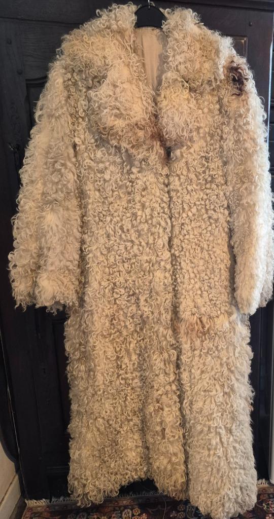 prachtige bont bontjas, Kleding | Dames, Jassen | Winter, Zo goed als nieuw, Maat 38/40 (M), Overige kleuren, Ophalen