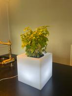 Bloempot verlicht van Vondom 18 x 18cm, Ophalen, Nieuw