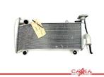 RADIATEUR PANIGALE Ducati 1199 (01-1970/-), Motoren, Gebruikt