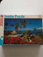 Puzzle 2000 pièces Puzzle Jumbo, Hobby & Loisirs créatifs, Sport cérébral & Puzzles, Utilisé, Enlèvement ou Envoi