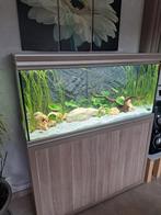 Aquarium aquatlantis, Dieren en Toebehoren, Ophalen, Zo goed als nieuw