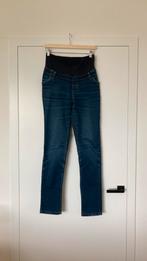 Blauwe zwangerschapsjeans Fragile Antwerp maat s, Ophalen, Blauw, Zo goed als nieuw, Maat 36 (S)