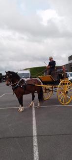 Tandem cart, Dieren en Toebehoren, Rijtuigen en Koetsen, Zo goed als nieuw, Paard