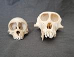 Rhesus en groene meerkat, Antiek en Kunst, Verzenden