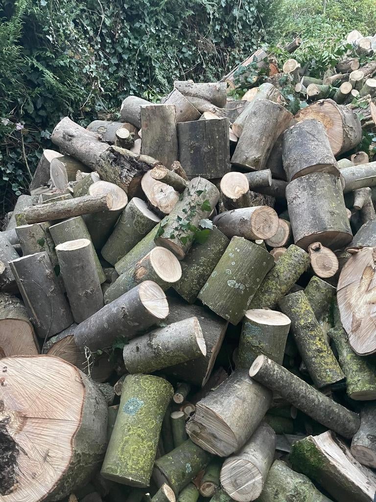 Brandhout te koop, 6 m³ ou plus, Enlèvement, Frêne