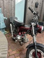 Dax b klasse 50cc te koop, Enlèvement, Comme neuf