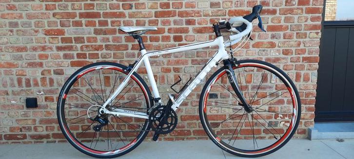 Koersfiets Scatto, Fietsen en Brommers, Fietsen | Heren | Sportfietsen en Toerfietsen, Ophalen