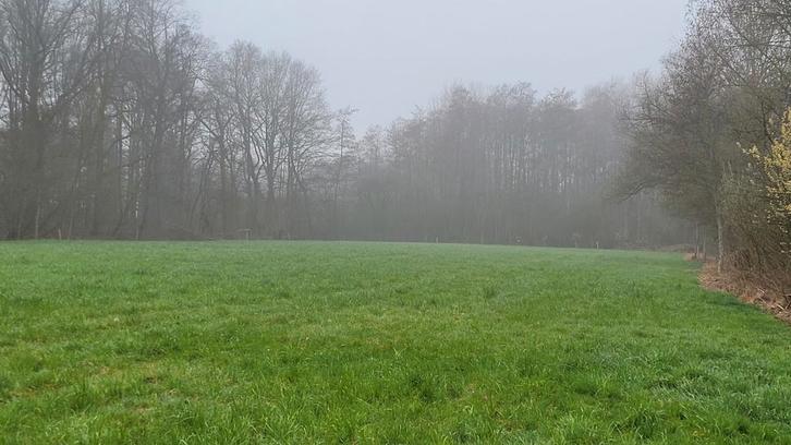 Weide weiland landbouwgrond te koop, Animaux & Accessoires, Box & Pâturages