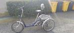 Vanraam midi driewieler elektrisch, Fietsen en Brommers, Fietsen | Driewielfietsen, Ophalen