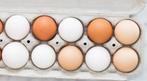 Dagelijks verse eitjes van onze loslopende kippen., Dieren en Toebehoren, Pluimvee