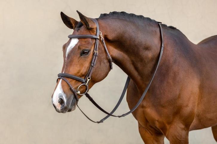 LeMieux Kudos Work Hoofdstel Bruin Full SALE!, Dieren en Toebehoren, Paarden en Pony's | Hoofdstellen en Tuigage, Nieuw, Springen