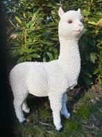 Alpaca, lama, wit, tuin, gazon, manege, boerderij 55cm, Ophalen, Nieuw, Kunststof, Dierenbeeld