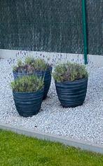 3 pots de fleurs, 40 à 70 cm, Rond, Comme neuf, Synthétique