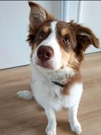 man zoekt trans vrouw