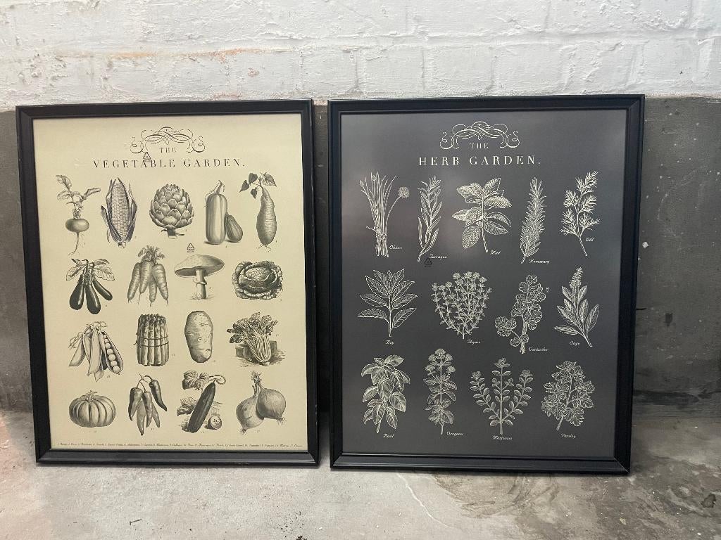 Poster groenten en kruiden, Minder dan 50 cm, Ophalen of Verzenden, Zo goed als nieuw, Foto of Poster
