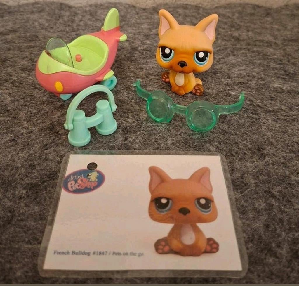 Littlest pets shop ( LPS ) figuur : Franse Bulldog #1847, Ophalen of Verzenden