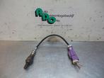 Lambda Sonde van een Ford KA (KA 96-), Gebruikt, -, -, Ophalen of Verzenden
